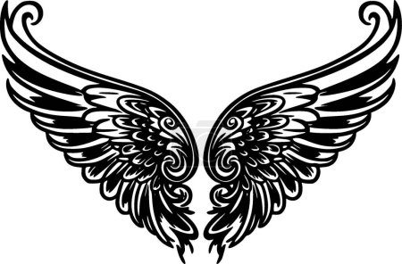 Illustration for Wings - black and white vector illustration - Royalty Free Image