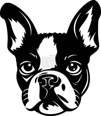 Boston terrier - black and white isolated icon - vector illustration