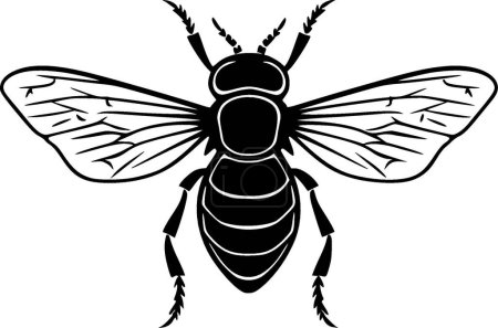 Fly - black and white isolated icon - vector illustration