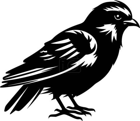 Pigeon - illustration vectorielle en noir et blanc