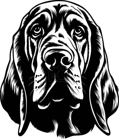 Illustration for Bloodhound - minimalist and flat logo - vector illustration - Royalty Free Image
