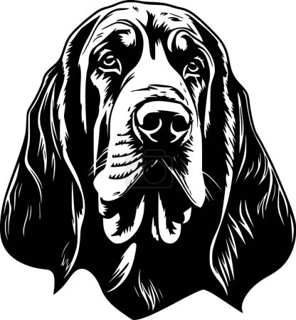 Bloodhound - black and white vector illustration