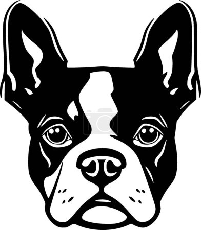 Boston terrier - black and white isolated icon - vector illustration