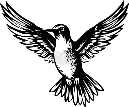 Hummingbird - black and white vector illustration