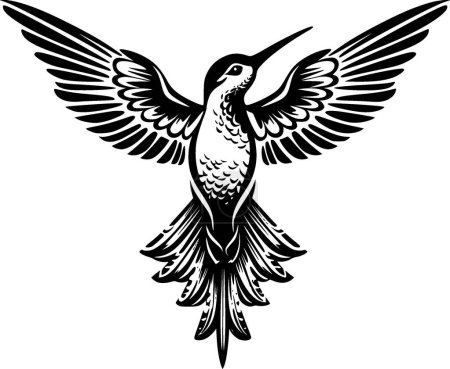 Colibri - illustration vectorielle en noir et blanc