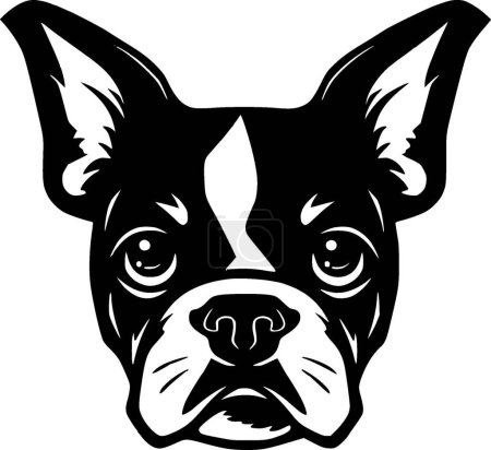 Boston terrier - black and white vector illustration