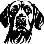 Labrador retriever - black and white isolated icon - vector illustration