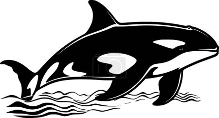 Orca - black and white vector illustration