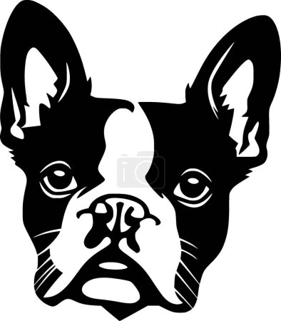 Boston terrier - minimalist and flat logo - vector illustration