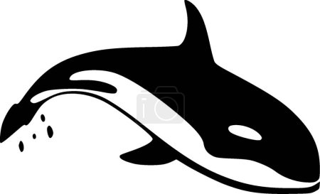 Killer whale - black and white vector illustration