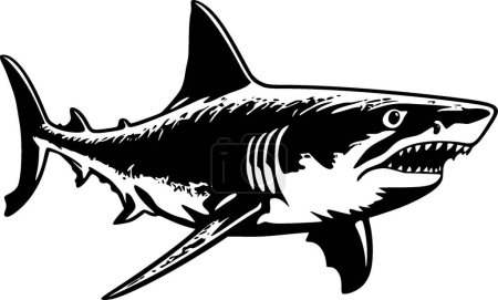 Shark - black and white vector illustration