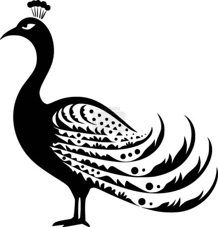 Peacock - black and white vector illustration