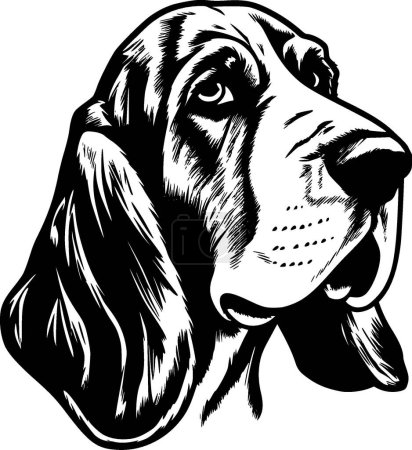 Illustration for Basset hound - high quality vector logo - vector illustration ideal for t-shirt graphic - Royalty Free Image