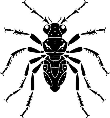 Ant - black and white vector illustration