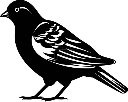 Pigeon - black and white isolated icon - vector illustration