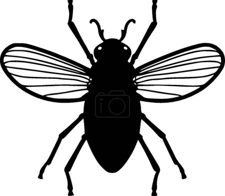 Cockroach - black and white vector illustration