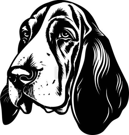 Illustration for Basset hound - black and white isolated icon - vector illustration - Royalty Free Image