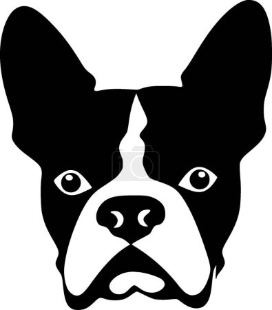 Illustration for Boston terrier - black and white isolated icon - vector illustration - Royalty Free Image