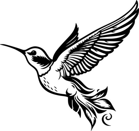Kolibri - schwarz-weiße Vektorillustration