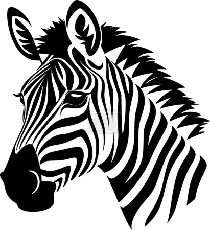 Zebra - black and white vector illustration