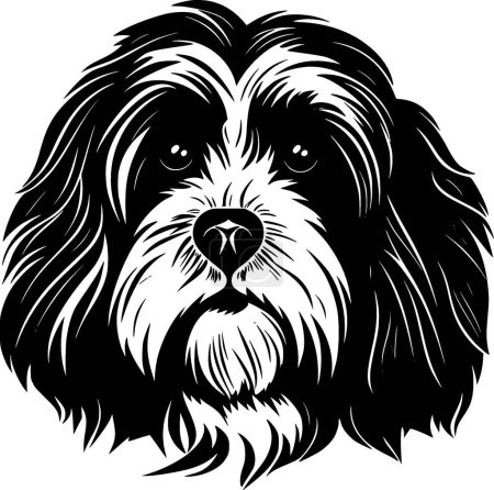Havanese - black and white isolated icon - vector illustration