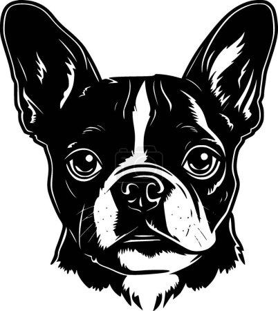 Illustration for Boston terrier - high quality vector logo - vector illustration ideal for t-shirt graphic - Royalty Free Image