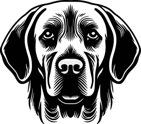 Labrador retriever - minimalist and simple silhouette - vector illustration