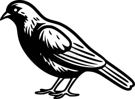 Taube - schwarz-weiße Vektorillustration