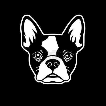 Boston terrier - black and white vector illustration