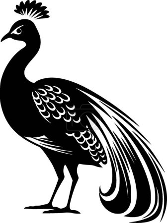 Peacock - logotipo vectorial de alta calidad - ilustración vectorial ideal para el gráfico de camisetas