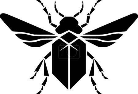 Beetle - black and white vector illustration