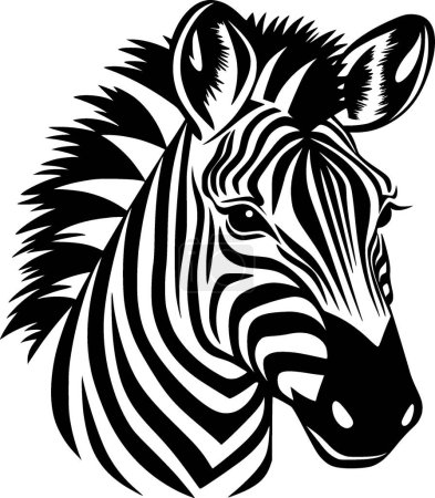 Zebra - schwarz-weiße Vektorillustration