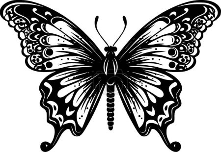 Butterfly - black and white vector illustration
