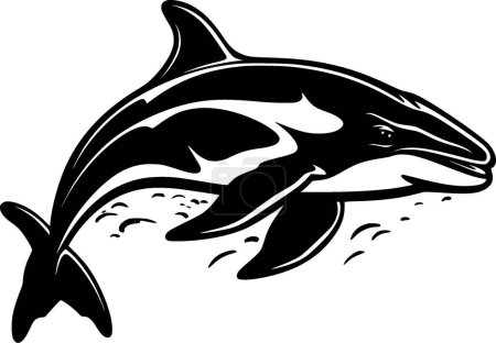 Orca - black and white vector illustration