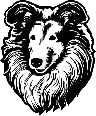 Shetland sheepdog - black and white vector illustration
