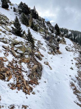 Photo for Snowy mountain gorge with granite boulders and pine trees, some footprints in the snow, vertical, mountain route - Royalty Free Image