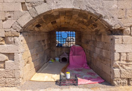 Téléchargez les photos : Rhodes, Grèce - 9 septembre 2023 : Un lieu de repos pour les chats dans une niche d'un vieux mur de forteresse en pierre. - en image libre de droit