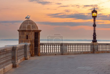 Téléchargez les photos : Tour de fortification d'observation de pierre à l'aube sur le remblai. Cadix. Espagne. Andalousie. - en image libre de droit