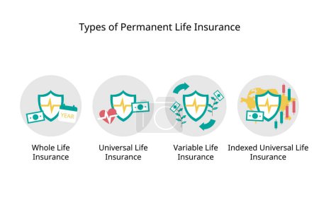 Illustration for Types of permanent life insurance for cash value life insurance of whole life, standard universal life insurance, variable and indexed type - Royalty Free Image