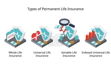 Illustration for Types of permanent life insurance for cash value life insurance of whole life, standard universal life insurance, variable and indexed type - Royalty Free Image