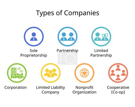 Illustration for Types of companies or Business Structures such as sole Proprietorship, Partnership, Limited Partnership, Corporation, Limited Liability Company, NGO, Cooperative - Royalty Free Image