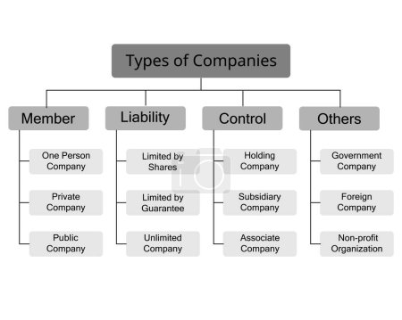 Illustration for Types of companies or Business Structures divided by members, control, liability and others - Royalty Free Image