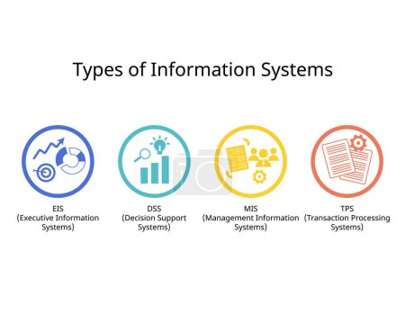 Ilustración de Tipos de sistema de información para el icono MIS, TPS, DSS y EIS - Imagen libre de derechos