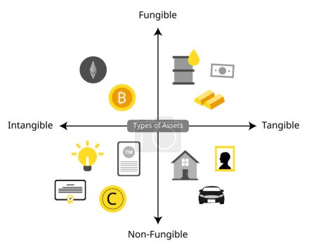 Illustration for Types of assets for Fungibility, Fungibility, Non-Fungibility, tangible and intangible asset - Royalty Free Image