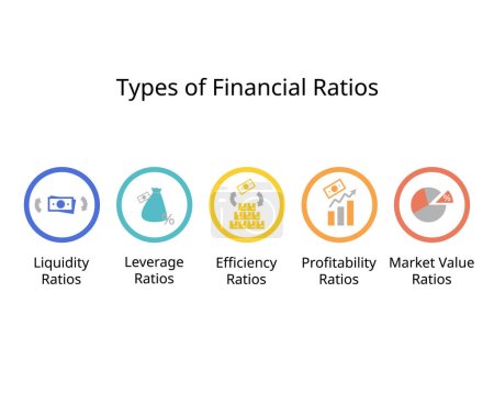 Illustration for Types of Financial Ratios for Liquidity, leverage, efficiency, profitability, market value ratio - Royalty Free Image