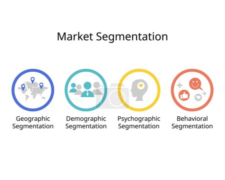 Illustration for Type of market segmentation for Demographic, psychographic, behavioral and geographic segmentation - Royalty Free Image