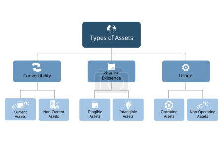type of assets for convertibility, physical existence, usage for each assets categories