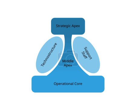 Organizational Model components for Strategic apex, middle apex, operational core, support staff, Technostructure