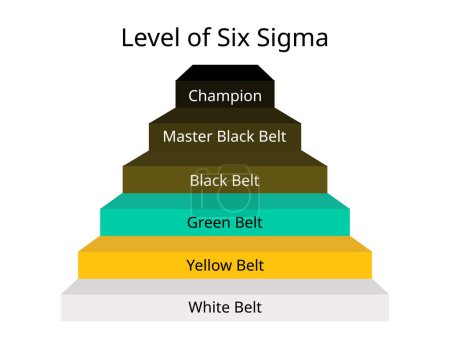 Nivel de Seis Sigma para campeón, cinturón negro maestro, negro, verde, cinturón amarillo, cinturón blanco