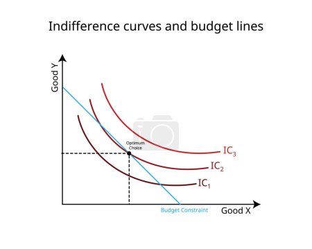 restricciones presupuestarias y curvas de indiferencia gráfico en economía